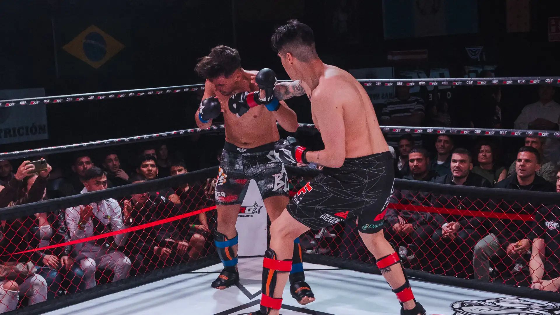 OSF CHAMPIONSHIP, combate de mma amateur , luchadores mma amateur madrid, mma madrid, combates mma madrid, clases de mma madrid